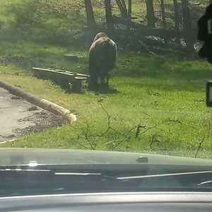 Meet your Posher, Manuel